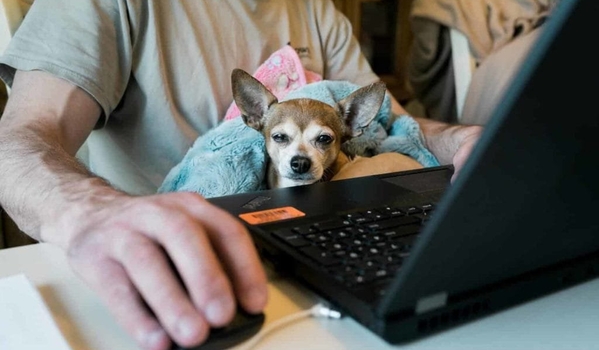 The Remote Work Revolution – A Very Human Argument ✌️ cover