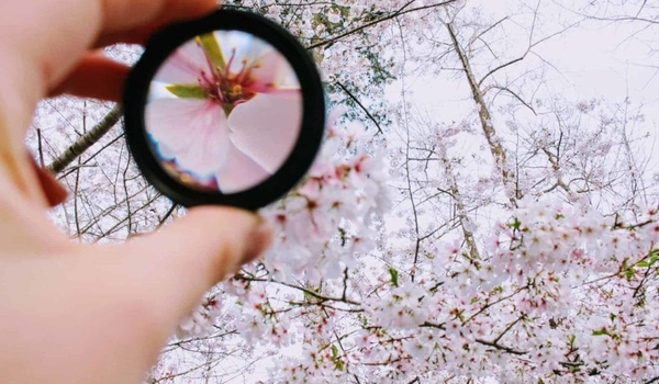 How To Stay Focused: 9 Ways To Improve Your Concentration cover