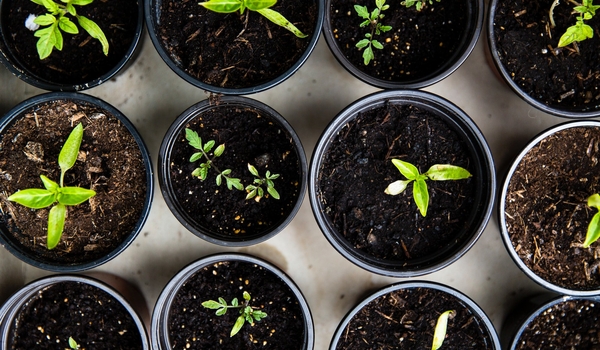 Team Management Skills: From A Solo Entrepreneur to Leader cover