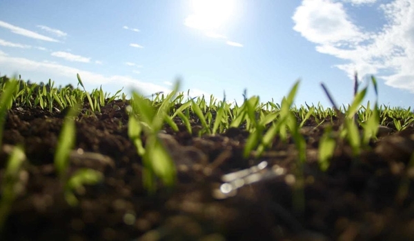 Double Your Size: Our Top Tips for SME Growth cover